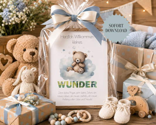 Geldgeschenk Geburt, Babyparty, Druckvorlage, Geschenk, Sofort-Download,  Last-Minute-Geschenk, PDF-Datei