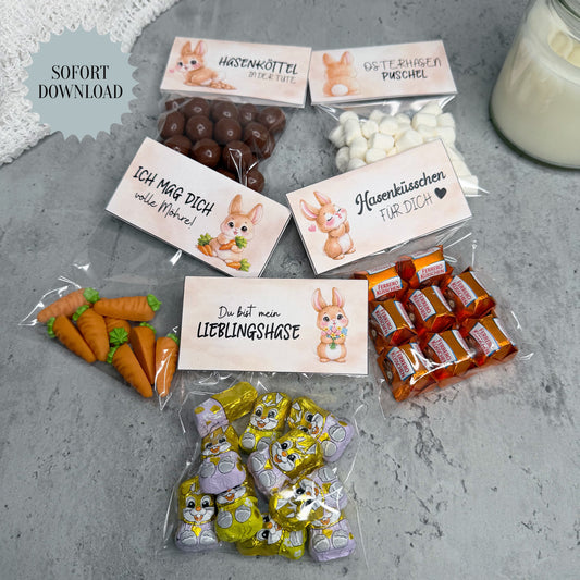 Geschenk zu Ostern, Oster-Tütchen, Schilder, kleine Aufmerksamkeit, Druckvorlage, Sofort-Download,  Last-Minute-Geschenk, PDF-Datei